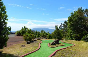 Pico Terrace - Photo 11