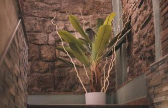 CHAPLIN Luxury Holiday House - Photo 15