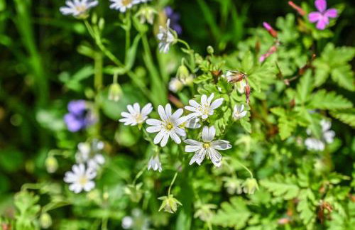 The Round House - Heale Farm - Foto 17