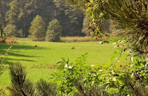 Chiemsee Landhaus - Foto 21