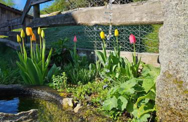 Ferienwohnung "Kräuterhof" - Foto 38