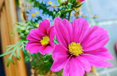 Fabron studio et Résidence de Luxe avec Piscine - Photo 29