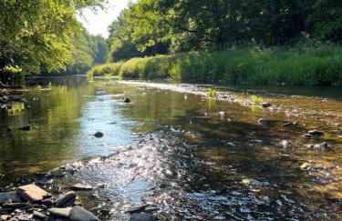 FeWo Krämer - Foto 19