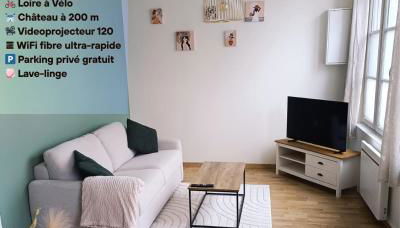 Le Nid du Château Sully-sur-Loire - Photo 2