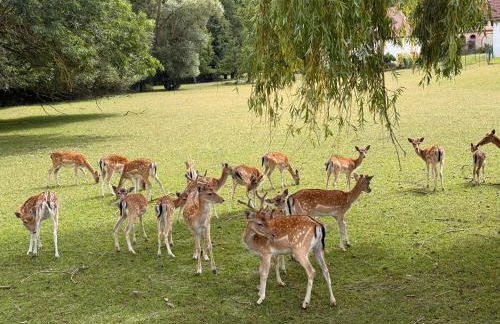 Casa Valentini - Foto 44