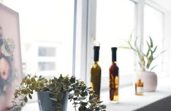 Appartio - Gästehaus Altstadt Worms - Foto 43