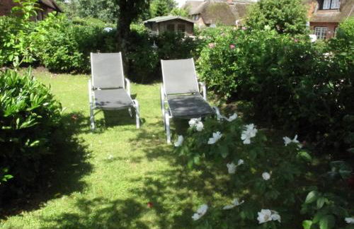 Roter Apfel - Foto 26