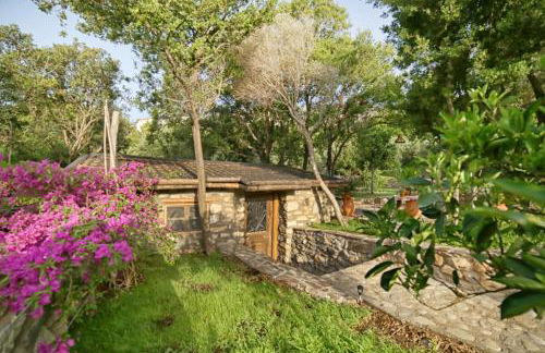 Captain Ikaros - Foto 6