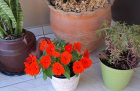 Casa Vintage - Photo 27