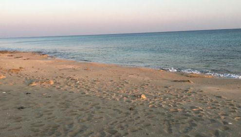 Af campomarino - Foto 3