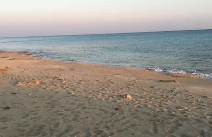 Af campomarino - Foto 3