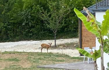 Gîte cosy aux portes de Sarlat - Foto 6