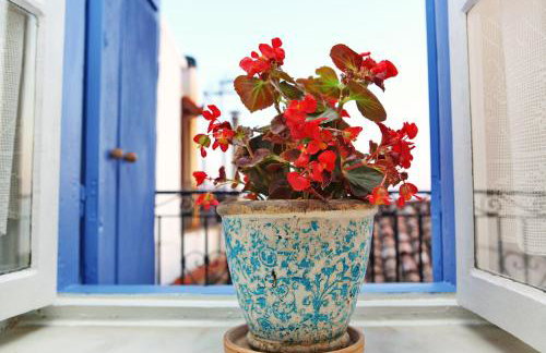 Rodia House - Foto 12