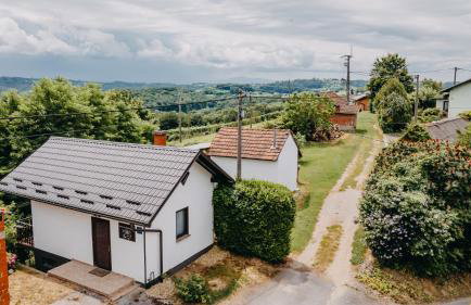 Dama s kamelijama - Foto 19