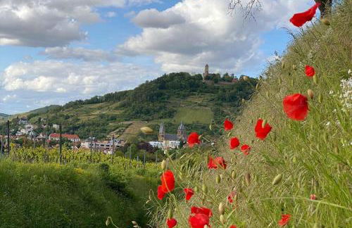 Acapella Suite Barcarolle 60qm, direkt am Weinberg, Altstadt, Netflix inklusive - Foto 32