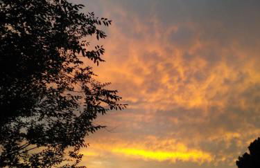 La Isabelita - Foto 42