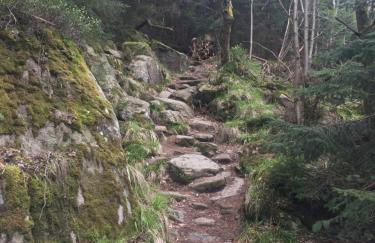 Blockhaus an der Skiwiese Braunlage - Foto 74