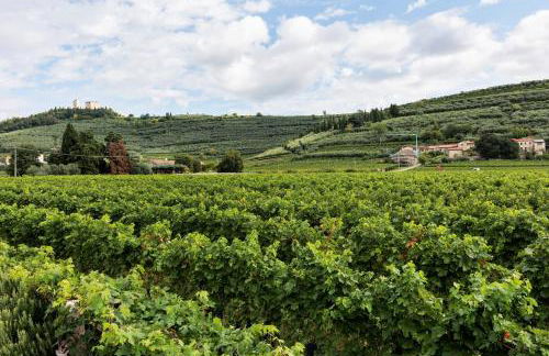 Dream Room Apartment - Foto 19