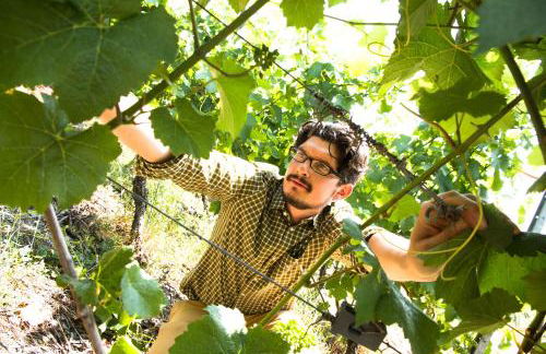 Ferienwohnungen Lithos - Foto 40