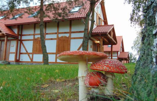 Pod Gwiazdami - całoroczny domek na Kaszubach - Foto 14