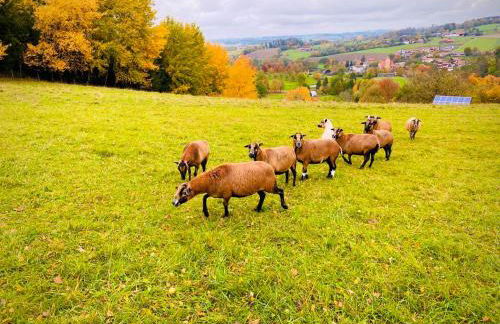 Golfchalet Heidi Uttlau-Bad Griesbach - Foto 47