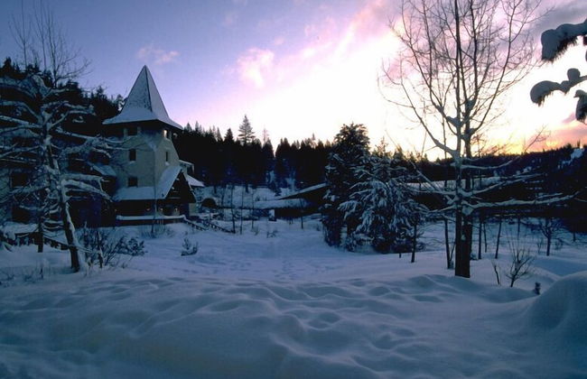 GetAways at Olympic Village Inn - Photo 44