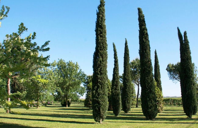 Furry Frinds With Family Home - Photo 30