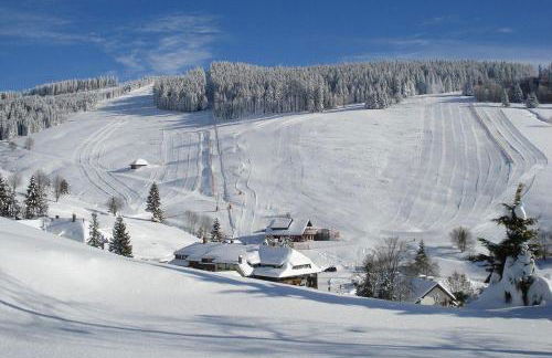 Ferienwohnung-Feldberg-in-der-Pension-Gloecklehof - Foto 18