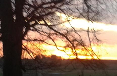 Hamsteels Hall Cottages - Foto 45