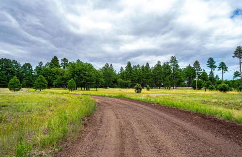 The Lodge Large Cabin, 17 Acres, Playground, Forest Access - Foto 61