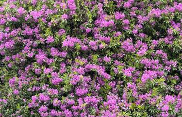 Stylish House with hot tub - Foto 40