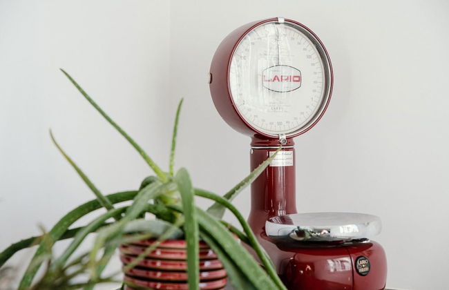 Civiglio 18 Apartment - Foto 14