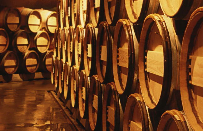 Tour privato della Valle di Calingasta + Degustazione di vini - Foto 7