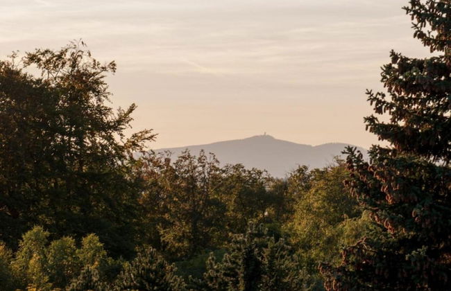 Fenced Garden, Friedrichsbrunn - Photo 44