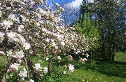 Dworek Szarki - Foto 10