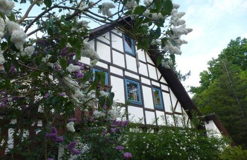 Ferienwohnung Am Walde - Photo 3