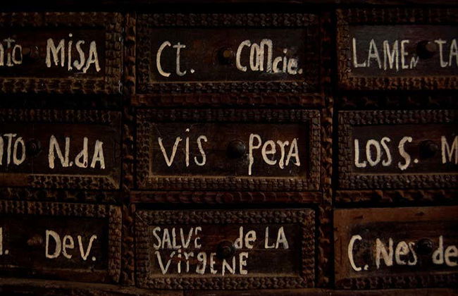 San Ignacio de Moxos Day Trip - Foto 4