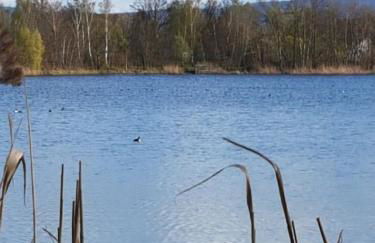 Haus Lisbeth - Foto 27