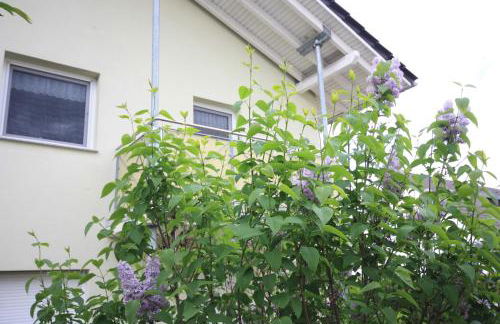 Windjammer - Foto 10