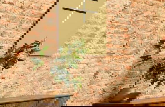 Smartflats - The Brooklyn - Photo 10