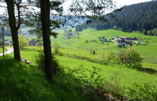 Schwarzwald-Ferienwohnungen Begert - Foto 21