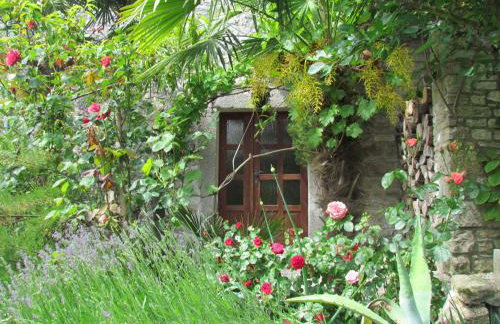 Summerhouse Beram - Foto 23