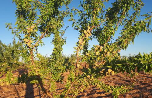 Quintinha dos Cedros - Foto 45