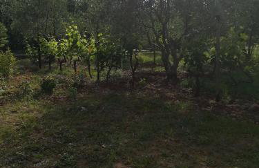 Apartments with a parking space Poljica, Zadar - 13289 - Foto 8