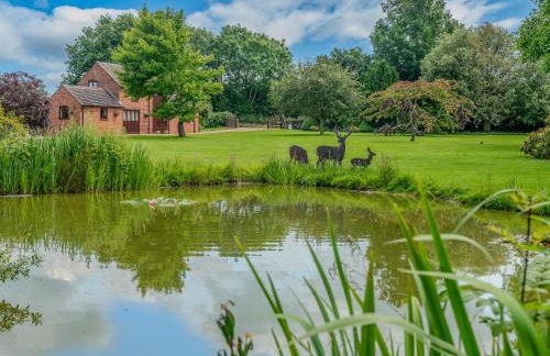 The Owl House with swimming pool and private hot tub - Foto 41