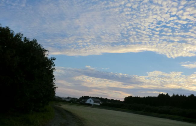 Lassy Condominium - Foto 34