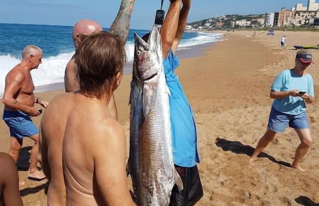 Hilltop Hideaway - Foto 27