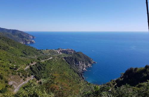 Menta Cinque Terre - Foto 1