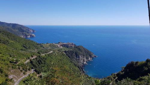 Menta Cinque Terre - Foto 1