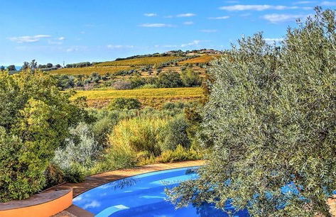 Villa Le Cave 12 in Campalto - Foto 22